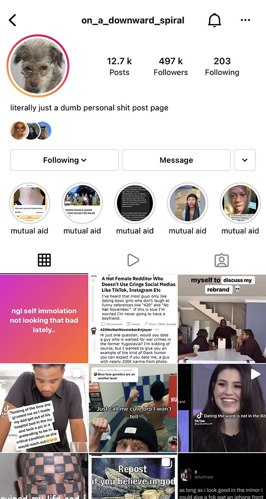The most popular social app is a video app